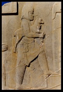 Een Mede draagt een offerlam de oostelijke trap van de zuidelijke portiek van het paleis van Darius op door Achaemenid